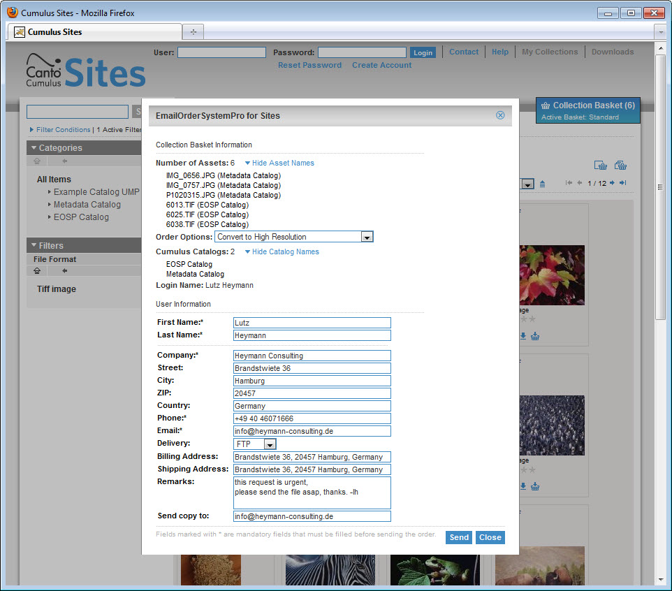 Ordering system thesis documentation